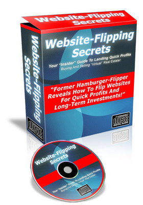 Product picture NEW* Website Flipping Secrets 